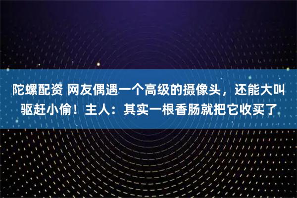 陀螺配资 网友偶遇一个高级的摄像头，还能大叫驱赶小偷！主人：其实一根香肠就把它收买了