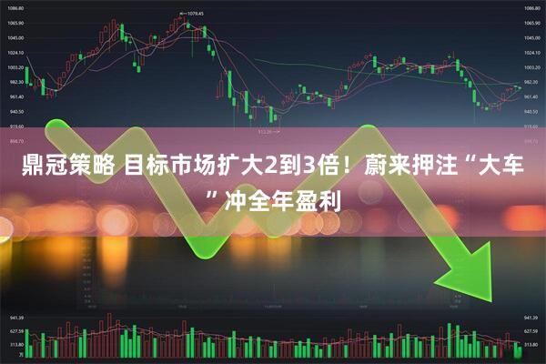 鼎冠策略 目标市场扩大2到3倍！蔚来押注“大车”冲全年盈利